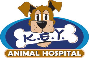 KEY Animal Hospital